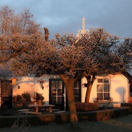 Oosternijkerk The Wee White Hoose Bed & Breakfast エクステリア 写真