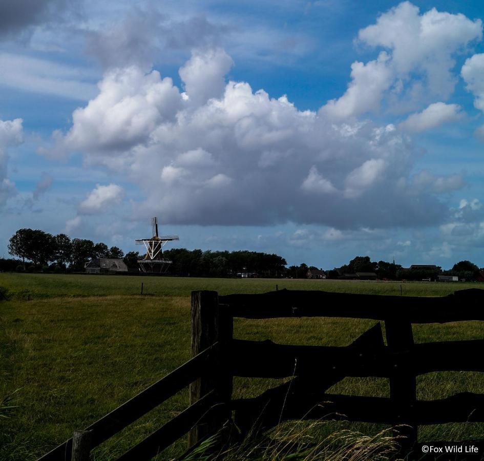 Oosternijkerk The Wee White Hoose Bed & Breakfast エクステリア 写真