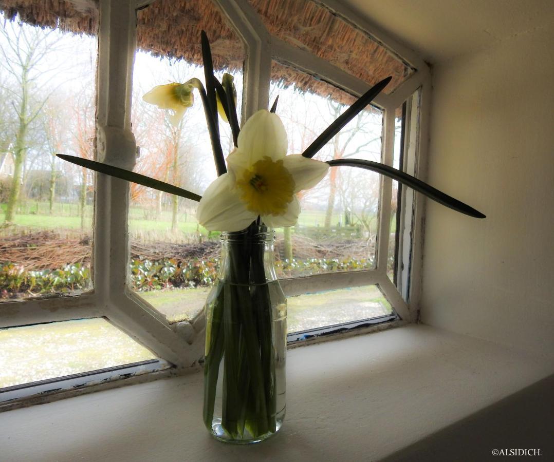 Oosternijkerk The Wee White Hoose Bed & Breakfast エクステリア 写真