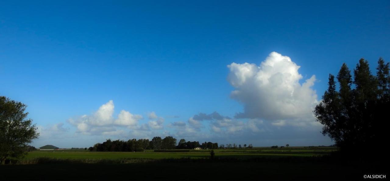 Oosternijkerk The Wee White Hoose Bed & Breakfast エクステリア 写真