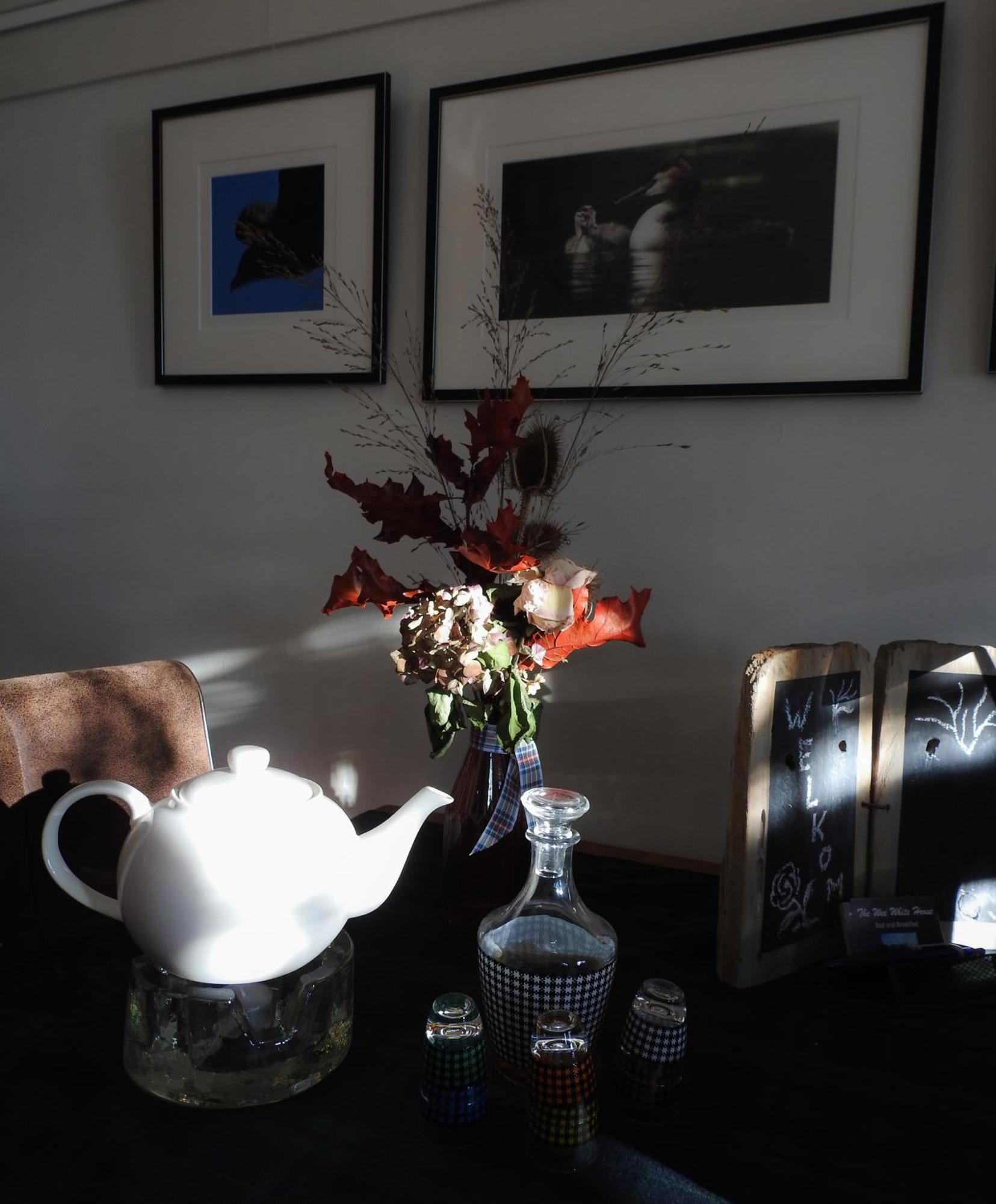 Oosternijkerk The Wee White Hoose Bed & Breakfast エクステリア 写真