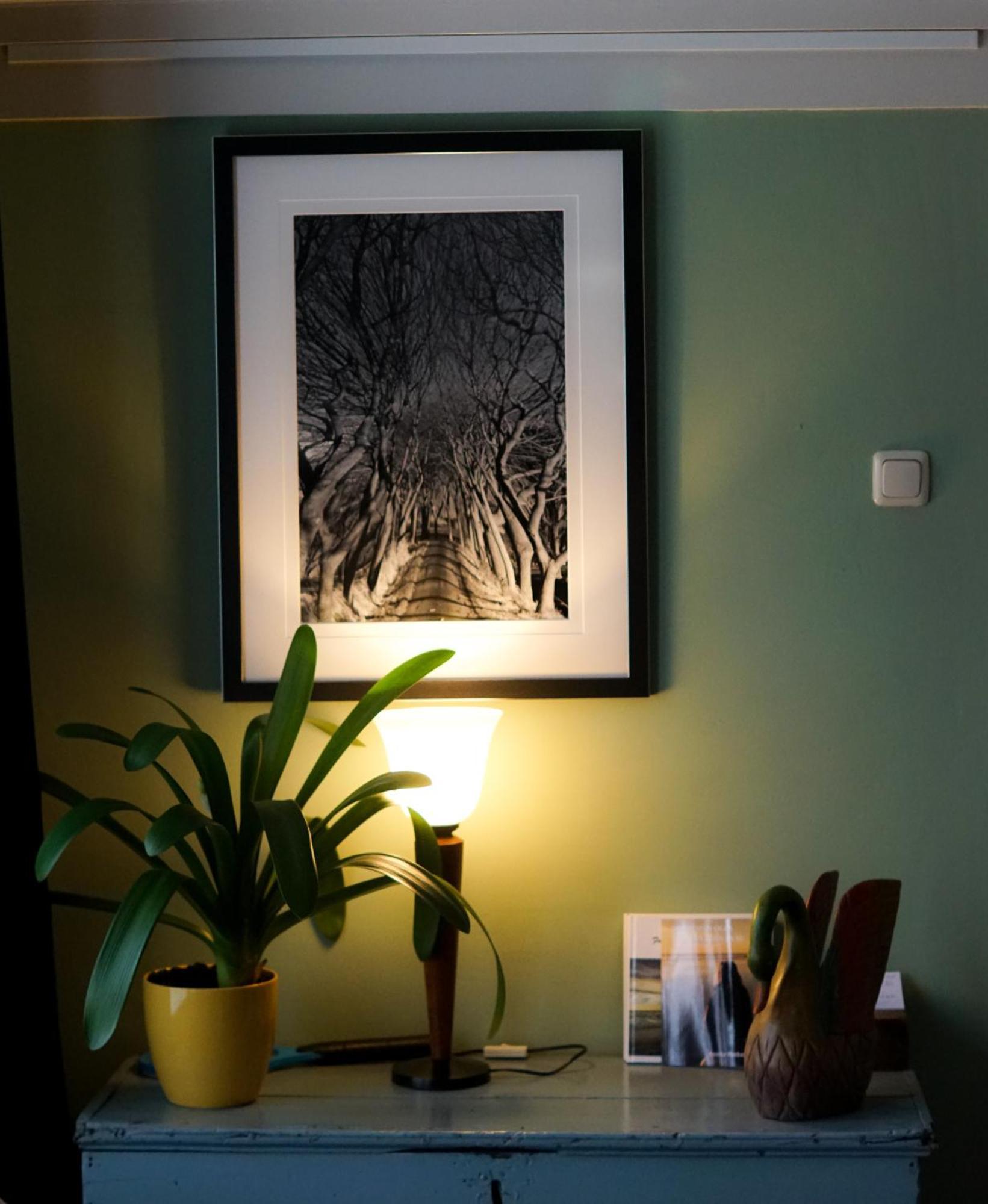 Oosternijkerk The Wee White Hoose Bed & Breakfast エクステリア 写真