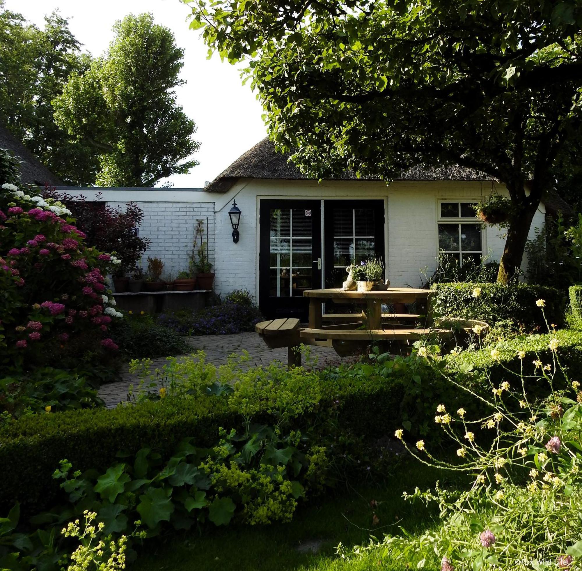 Oosternijkerk The Wee White Hoose Bed & Breakfast エクステリア 写真