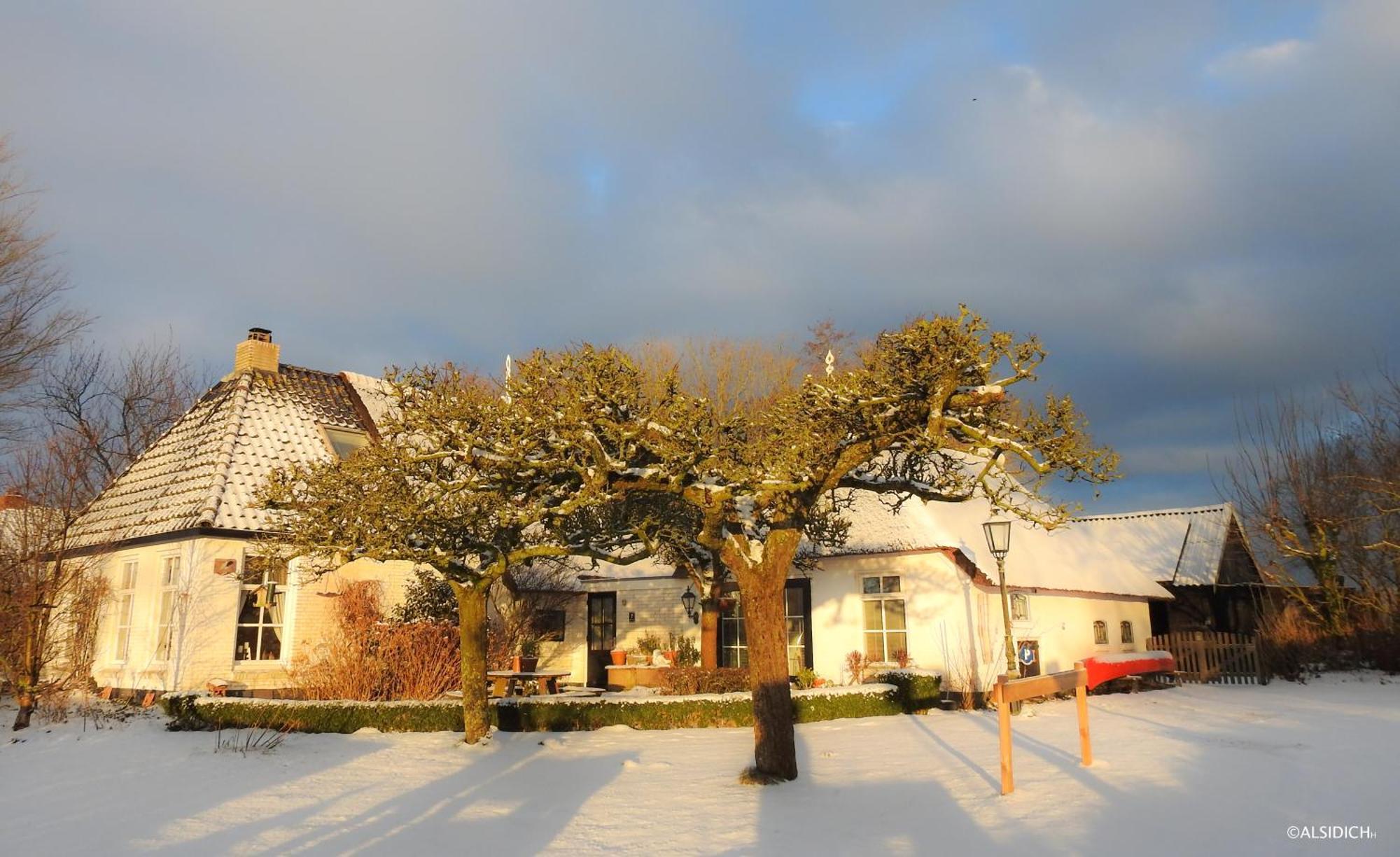 Oosternijkerk The Wee White Hoose Bed & Breakfast エクステリア 写真
